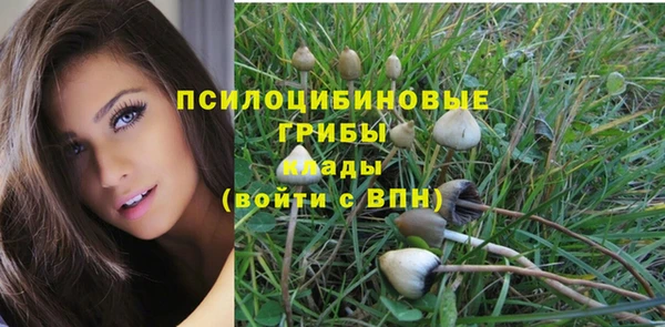 крисы Армянск
