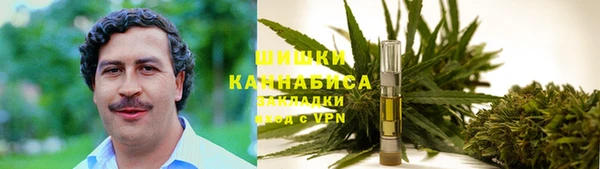крисы Армянск